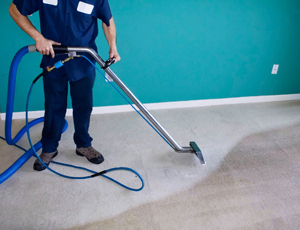 Wash and Fold Services in Lawrenceville, GA